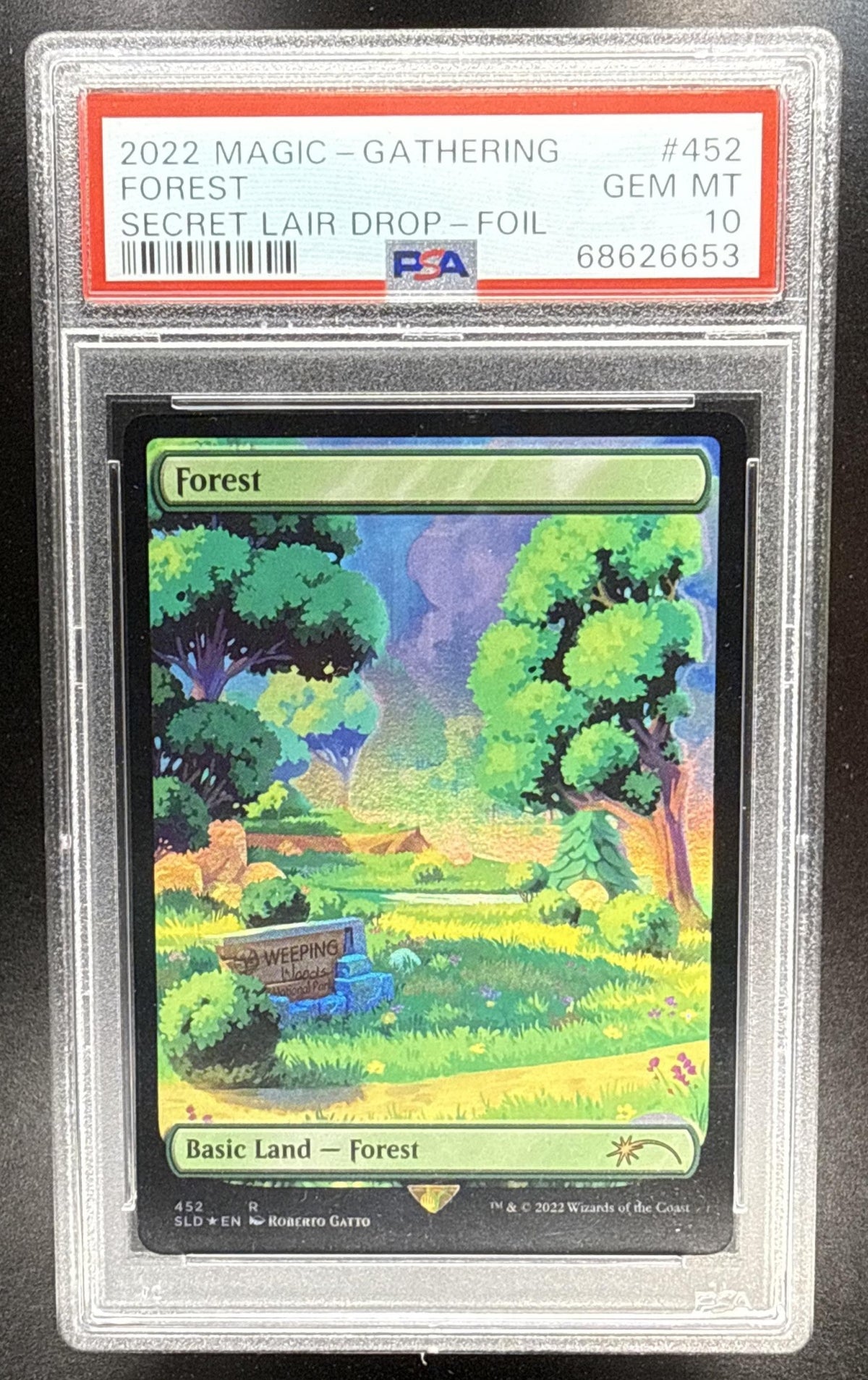 2022 Magic: The Gathering Forest Secret Lair Drop #452 Art Series PSA 10